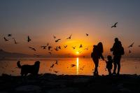 KARŞIYAKA BELEDİYESİ FOTOĞRAFLARINIZI BEKLİYOR