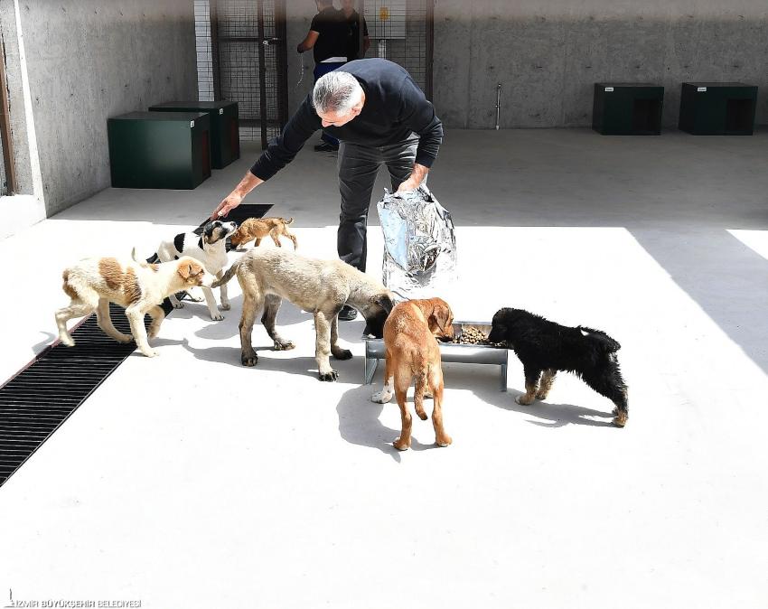 Kategori Haberleri