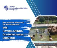 SÜS HAVUZLARI ÖLDÜRÜYOR