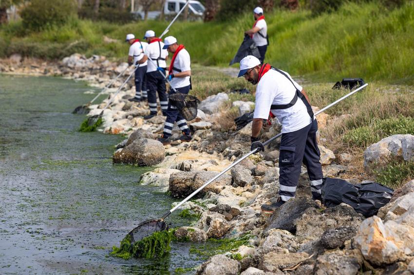 İZMİR'DE YOSUN SAVAŞI